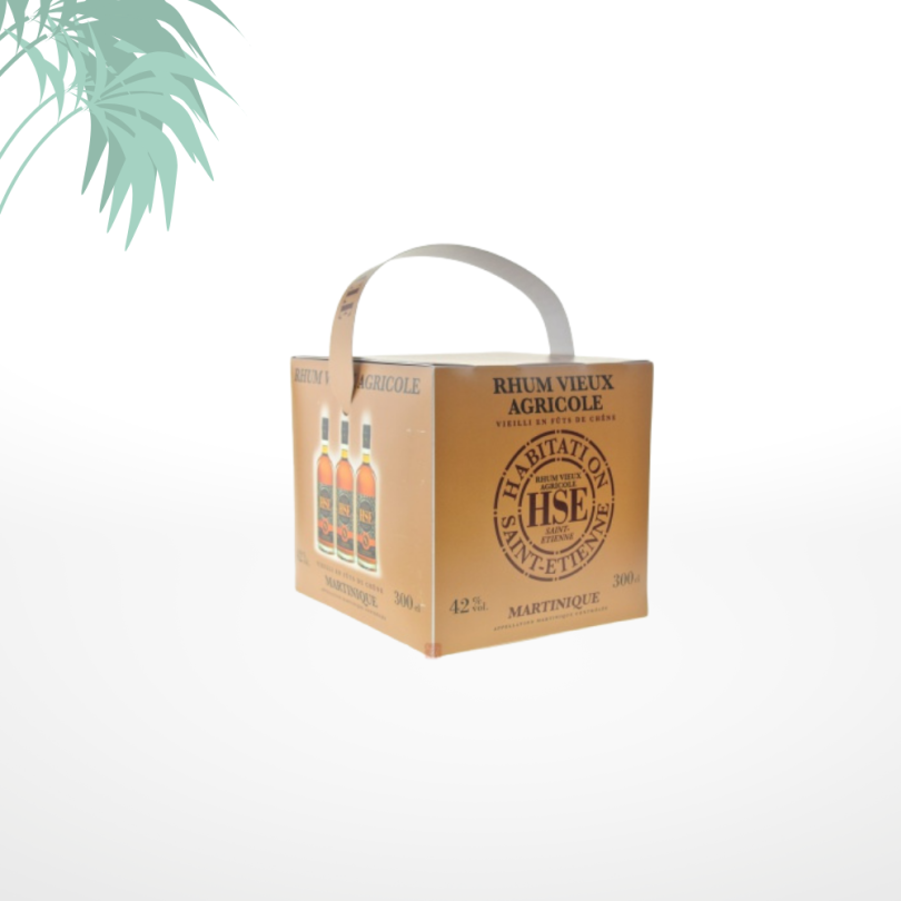 Cubi rhum vieux HSE 42° 3L