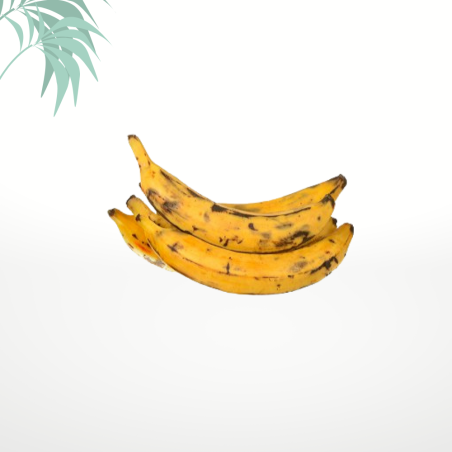bananes plantains antillais