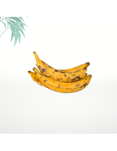 Bananes plantains / jaunes "Antilles" - 2.5kg