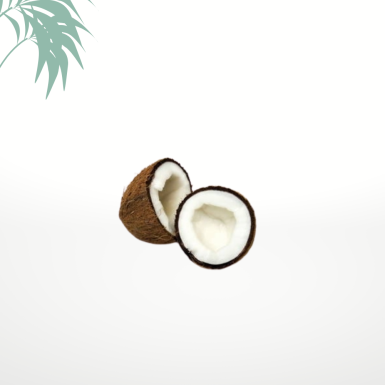 Coco secs - Lot de 4