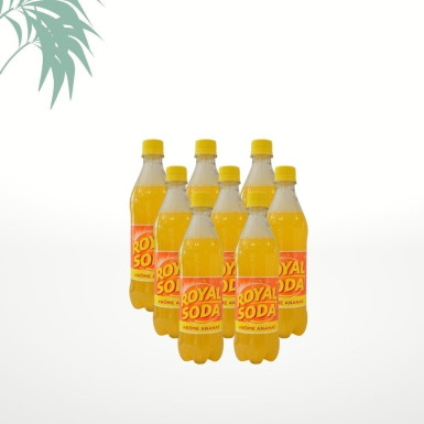 Pack de Royal Soda d'ananas (50clx8)