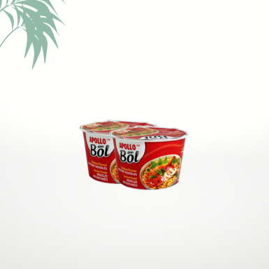 Nouilles dan bol goût poulet Apollo - lot de 2