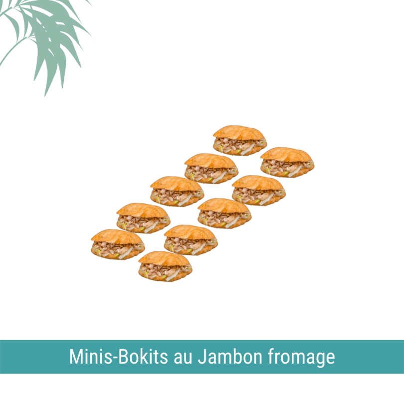 Coffret de 10 minis-bokits jambon fromage