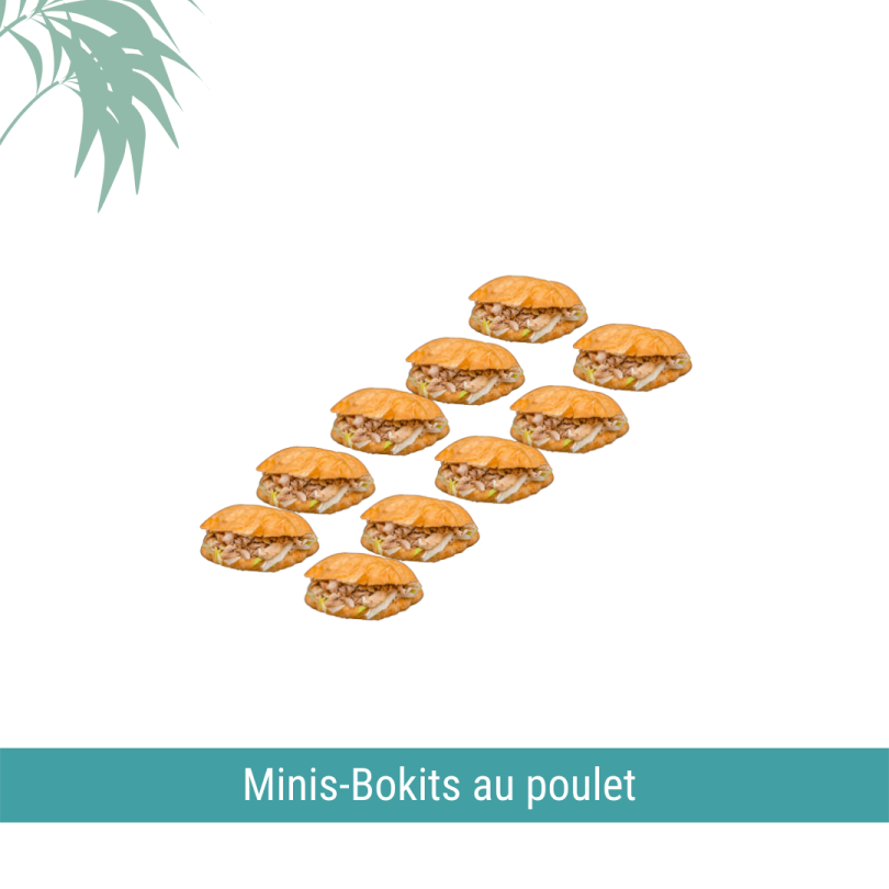 10 minis-bokits poulet