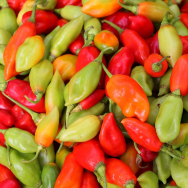 Piments végétariens antillais 2