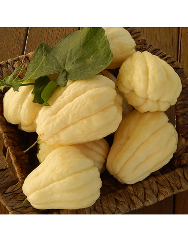 Christophines / chayottes blanches - 1kg