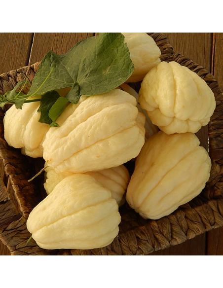 Christophines / chayottes blanches - 1kg