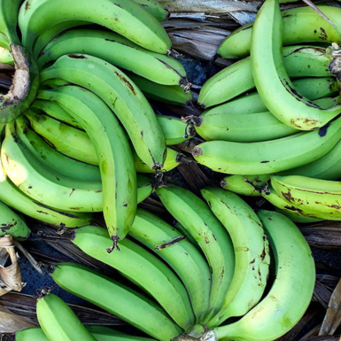 Bananes vertes - 5kg 2