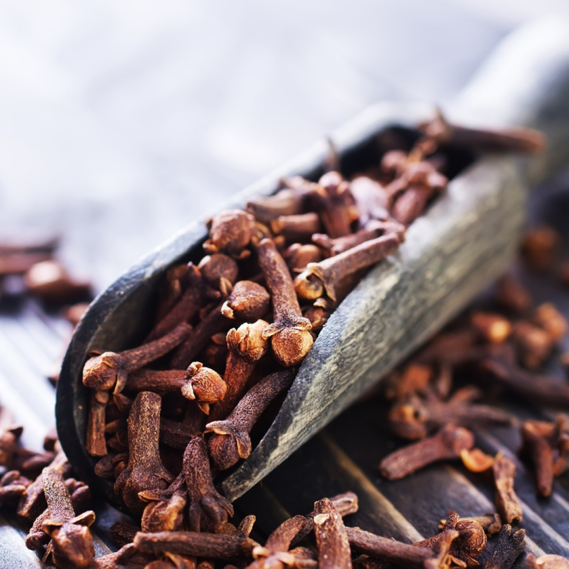 Epice clous de girofle 50g Les Bonnes Epices