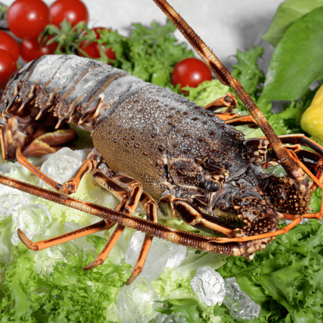 Langouste entière Caraïbes surgelée - 1kg Langouste entière Caraïbes surgelée - 1kg
