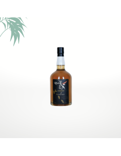 Punch premium ananas- gingembre 25° 70cl - Rhum & KO