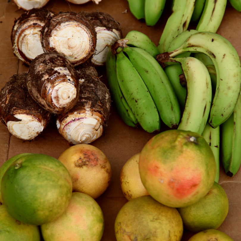 Panier XXL de racines, des légumes, des...
