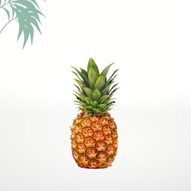 Ananas victoria