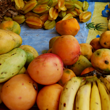 Panier de légumes et fruits pays 2