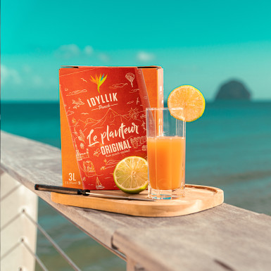 Cubi Planteur - Idyllik Punch - 3L 2