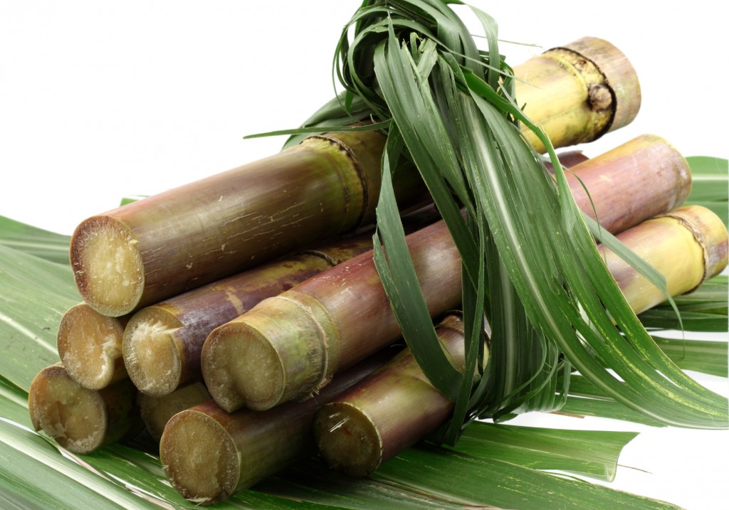 La différence entre le rhum agricole et le rhum industriel