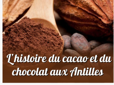 L'histoire du cacao et du chocolat aux Antilles